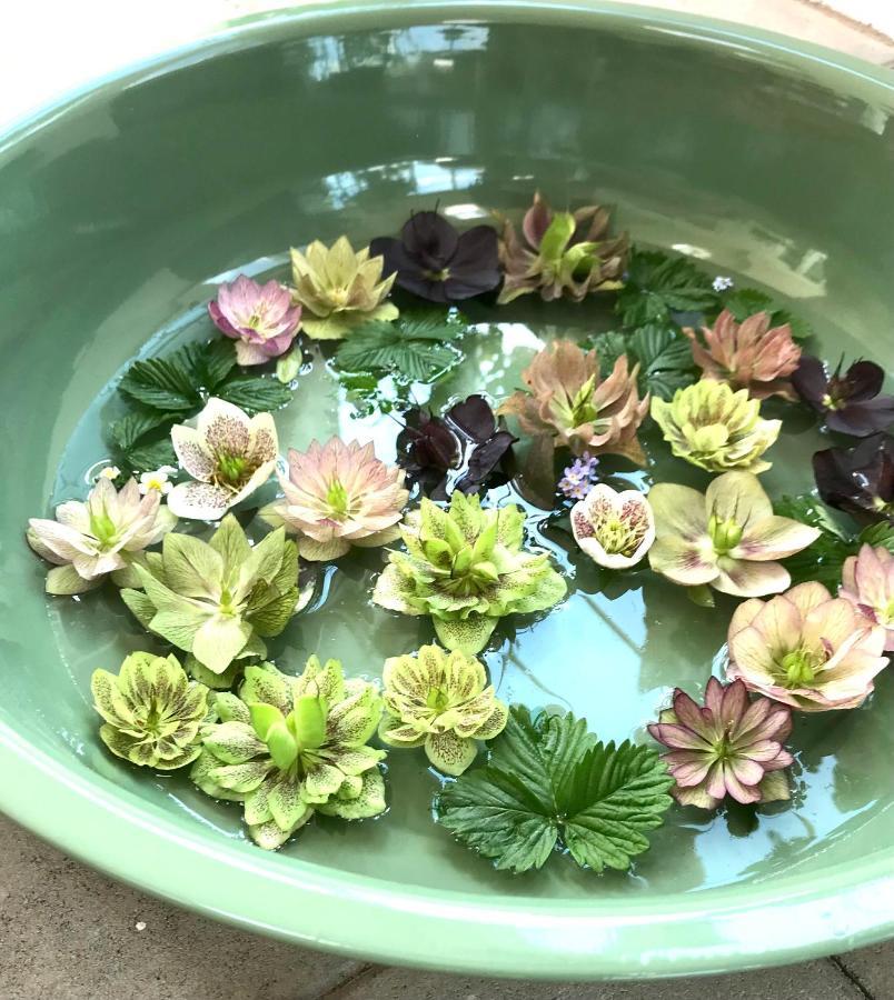 טרלבורג Blomstertantens Hus מראה חיצוני תמונה