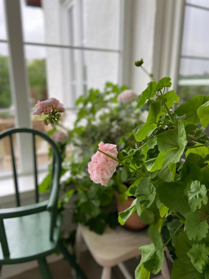טרלבורג Blomstertantens Hus מראה חיצוני תמונה