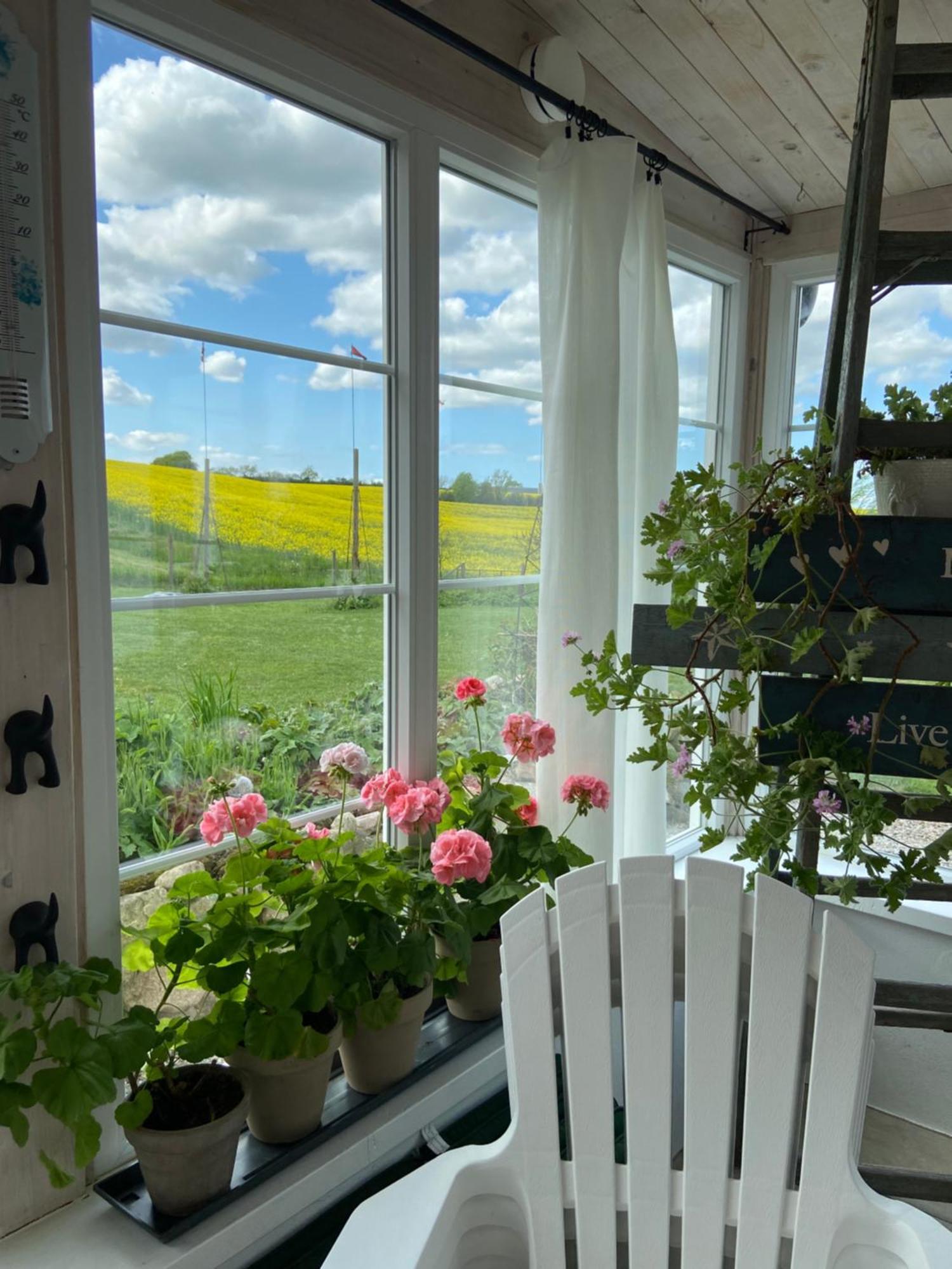 טרלבורג Blomstertantens Hus מראה חיצוני תמונה