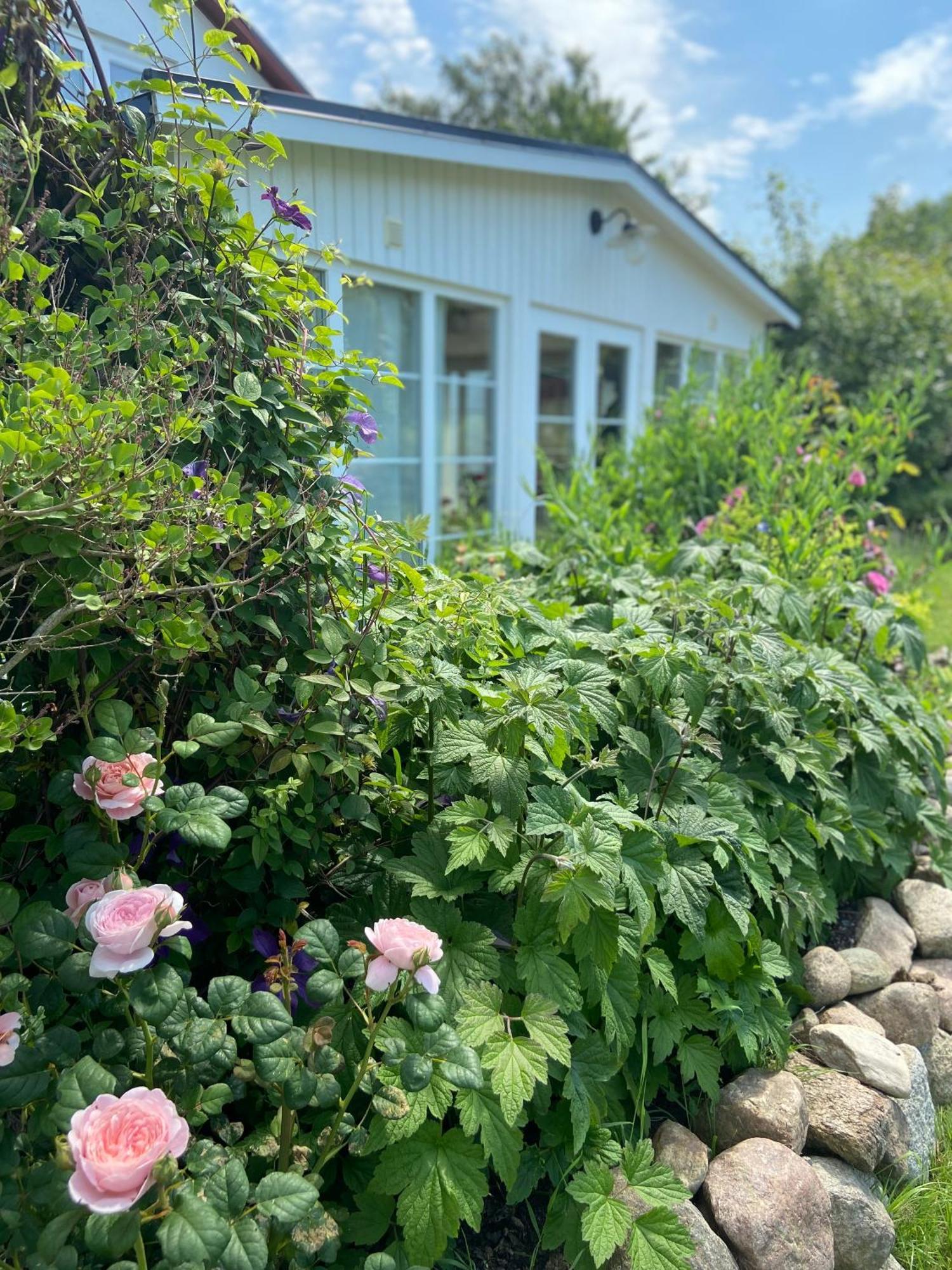 טרלבורג Blomstertantens Hus מראה חיצוני תמונה