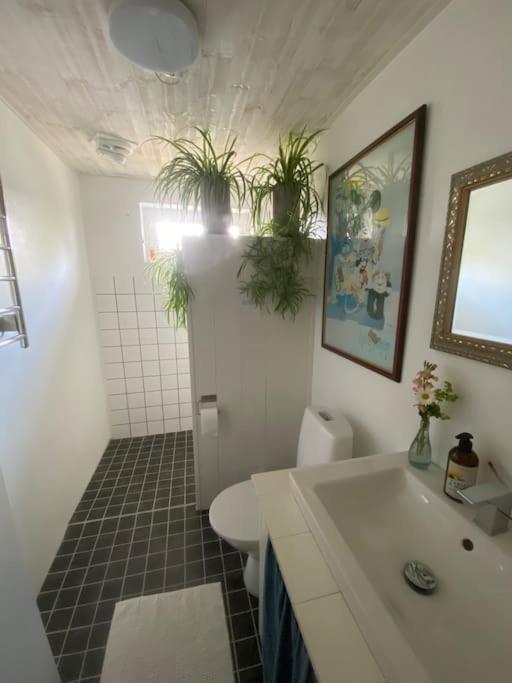טרלבורג Blomstertantens Hus מראה חיצוני תמונה